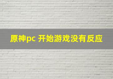 原神pc 开始游戏没有反应